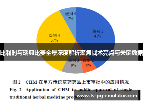比利时与瑞典比赛全景深度解析聚焦战术亮点与关键数据