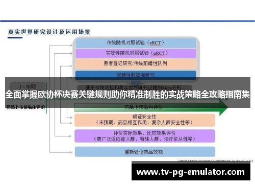 全面掌握欧协杯决赛关键规则助你精准制胜的实战策略全攻略指南集