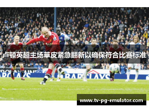 卢顿英超主场草皮紧急翻新以确保符合比赛标准