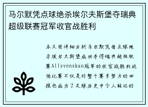 马尔默凭点球绝杀埃尔夫斯堡夺瑞典超级联赛冠军收官战胜利